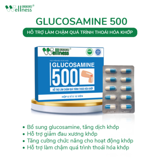 Thực phẩm hỗ trợ làm chậm quá trình thoái hóa khớp GLUCOSAMINE 500