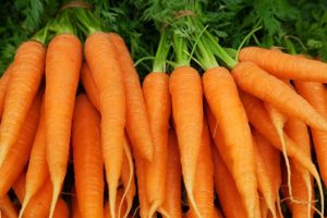 Cà rốt là nguồn cung cấp vitamin A tuyệt vời